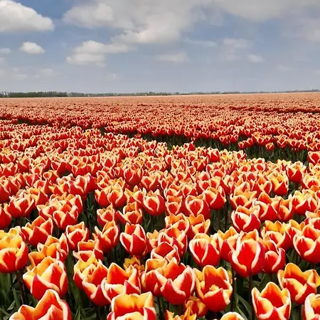 Privat bolig Etage Met Slaap, En Badkamer *